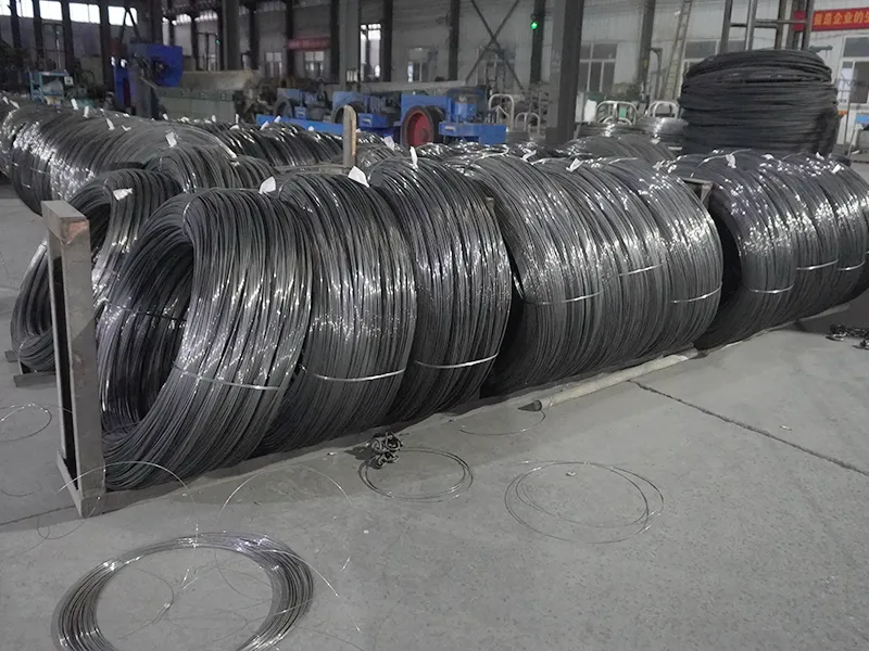 Q195 Carbon Wire Mesh